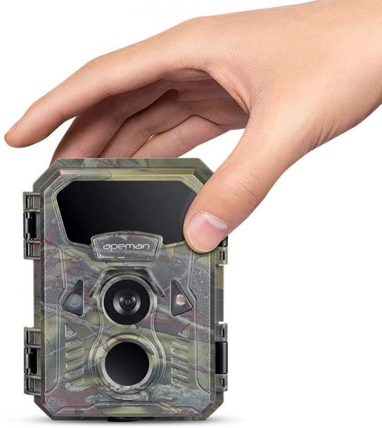 motion detector wildlife camera
