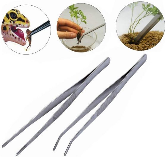 BinaryABC Stainless Steel Straight and Curved Nippers Tweezers Feeding Tongs for Reptile Snakes Lizards Spider(Silver) 2pcs
