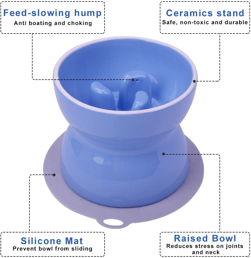 SUPER DESIGN Ceramics Raised Slow Feeder Dog Bowl, Porcelain Elevated