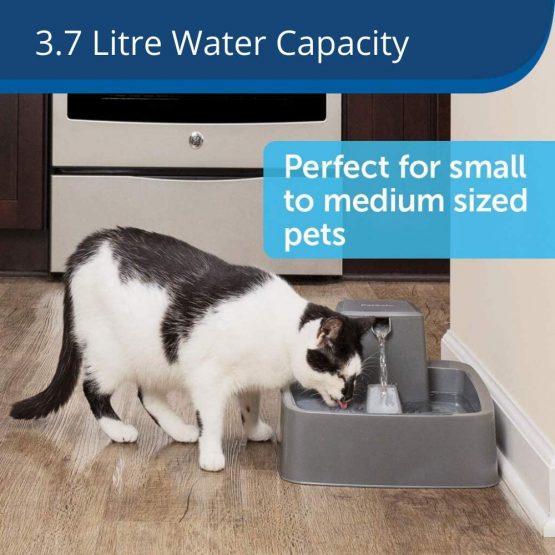 PetSafe Pet Fountain, Suitable for Medium Size Dogs Households, Easy-to-clean Design, Filter Included, Drinkwell 3.7 Litres - Image 2