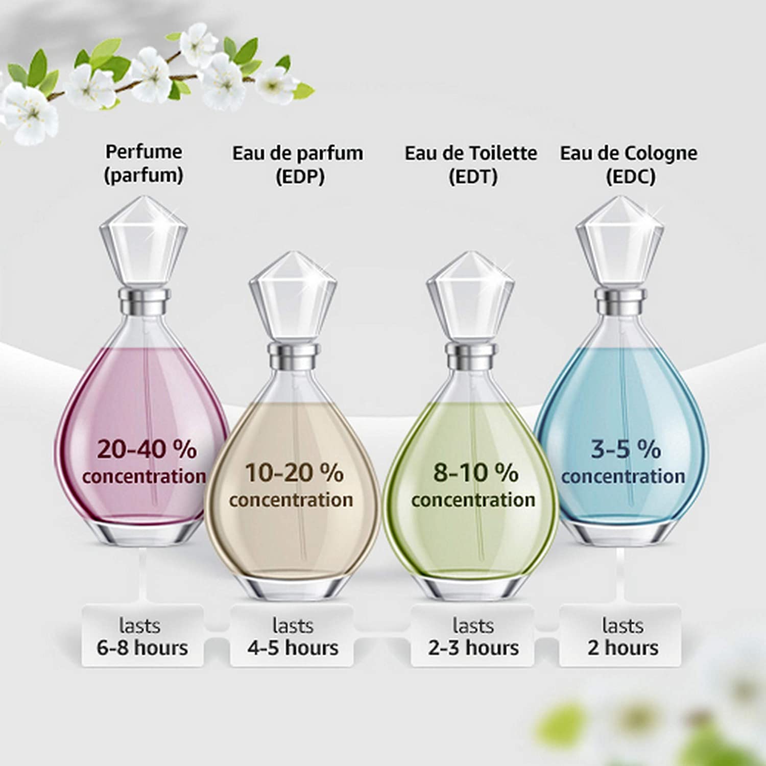 Dolce & Gabbana, Dolce Edp Vapo 30ml, Multi-colored, 30 ml (Pack of 1) - Image 3