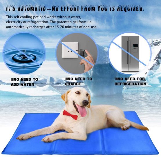 PetIsay Dog Cooling Mat, Cat Cooling Pad - Pressure-Activated Gel Cooling Mat for Dogs- Keep Your Dogs and Cats Comfortable All Summer - Avoid Overheating(65 ✕ 50 cm) - Image 2