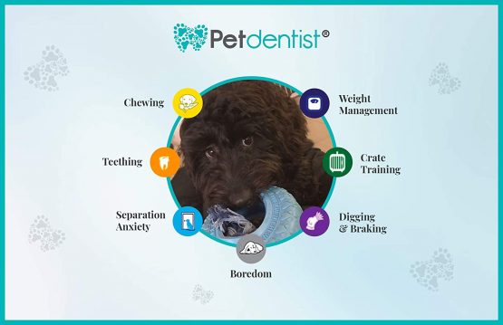 Petdentist- Tooth Flosser Rope Rubber Tug Tyre Ring Chew Toy for Best Dog Teeth Cleaning Dental Oral Care, Puppy Teething and Aggressive Chewers, Durable Tough Training Treat (Blue) - Image 4