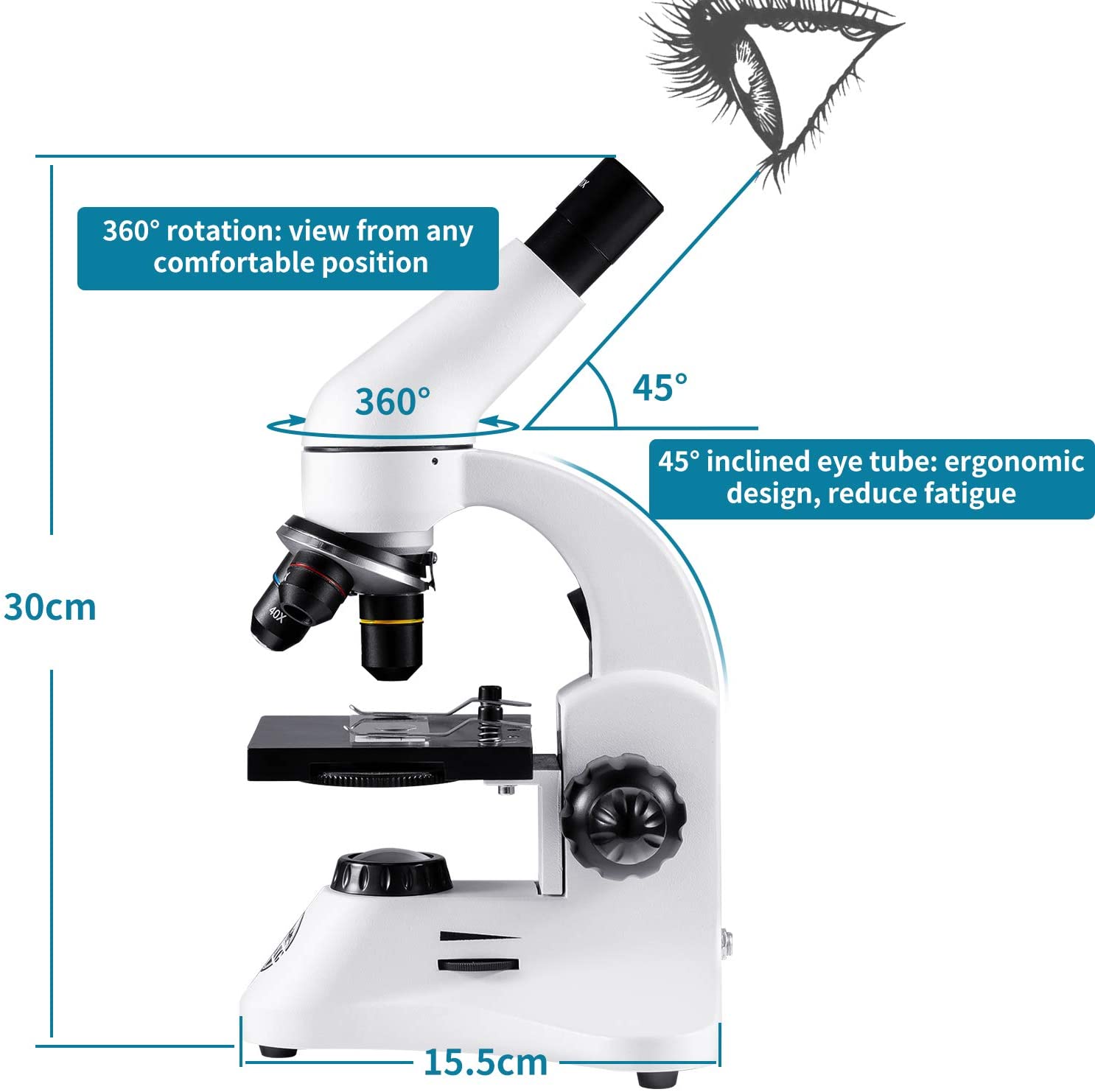 Microscope - Image 3