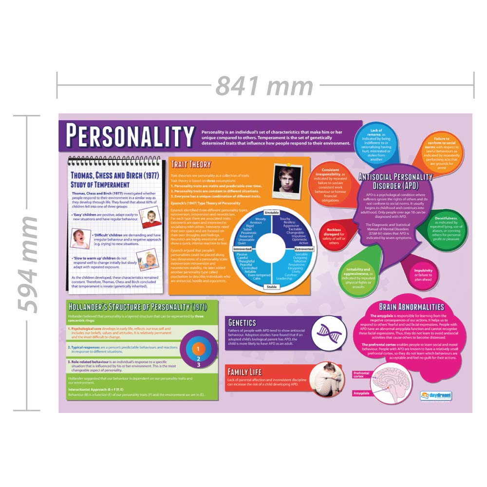 Daydream Education Personality, 85L x 59.4W cm - Image 2