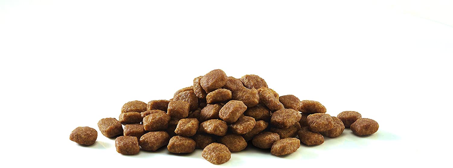 PURINA ONE BIFENSIS Adult Dry Cat Food: Rich in Chicken, Strengthens Natural Defences, for Healthy Bones Skin - Image 4