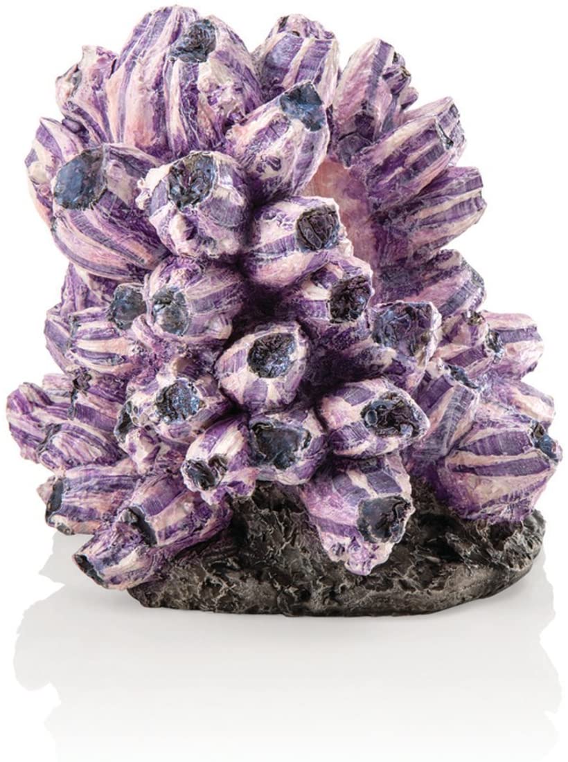 biOrb Purple Barnacle Cluster Ornament Medium, Vine Grape