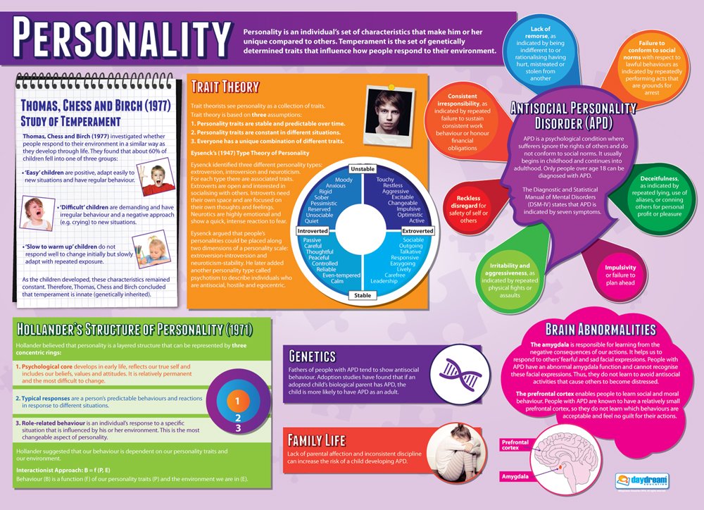 Daydream Education Personality, 85L x 59.4W cm