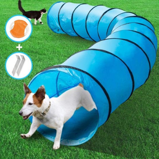 MASTERTOP Dog Tunnel with 1 Frisbee and Pegs, 525 x 60 cm Training ...