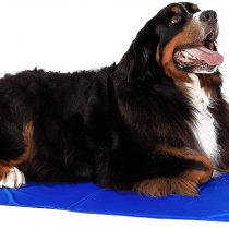 lionto by dibea Cooling Mat for Pets Dog Cooling Mat Cooling Pet Mat (XL) 120 x 80 cm