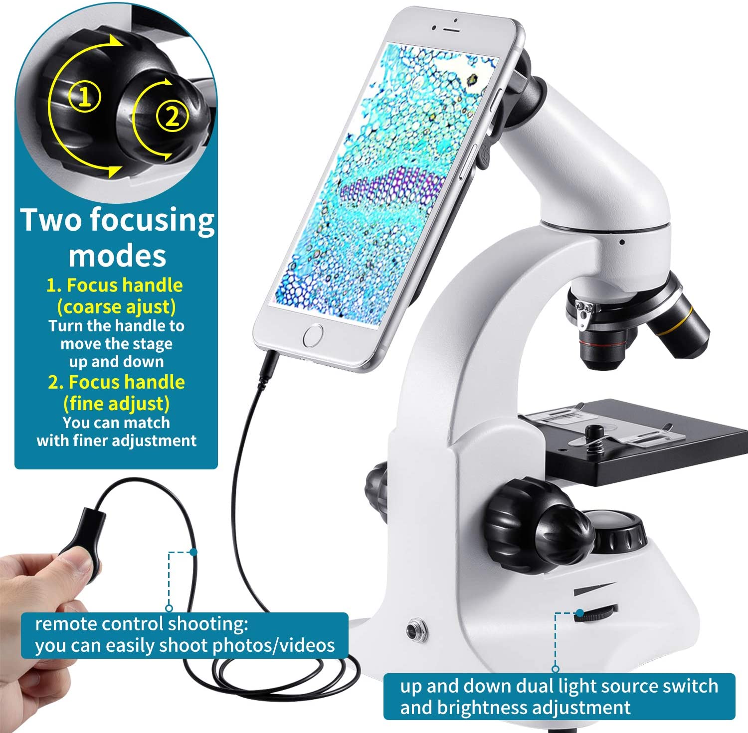 Microscope - Image 2