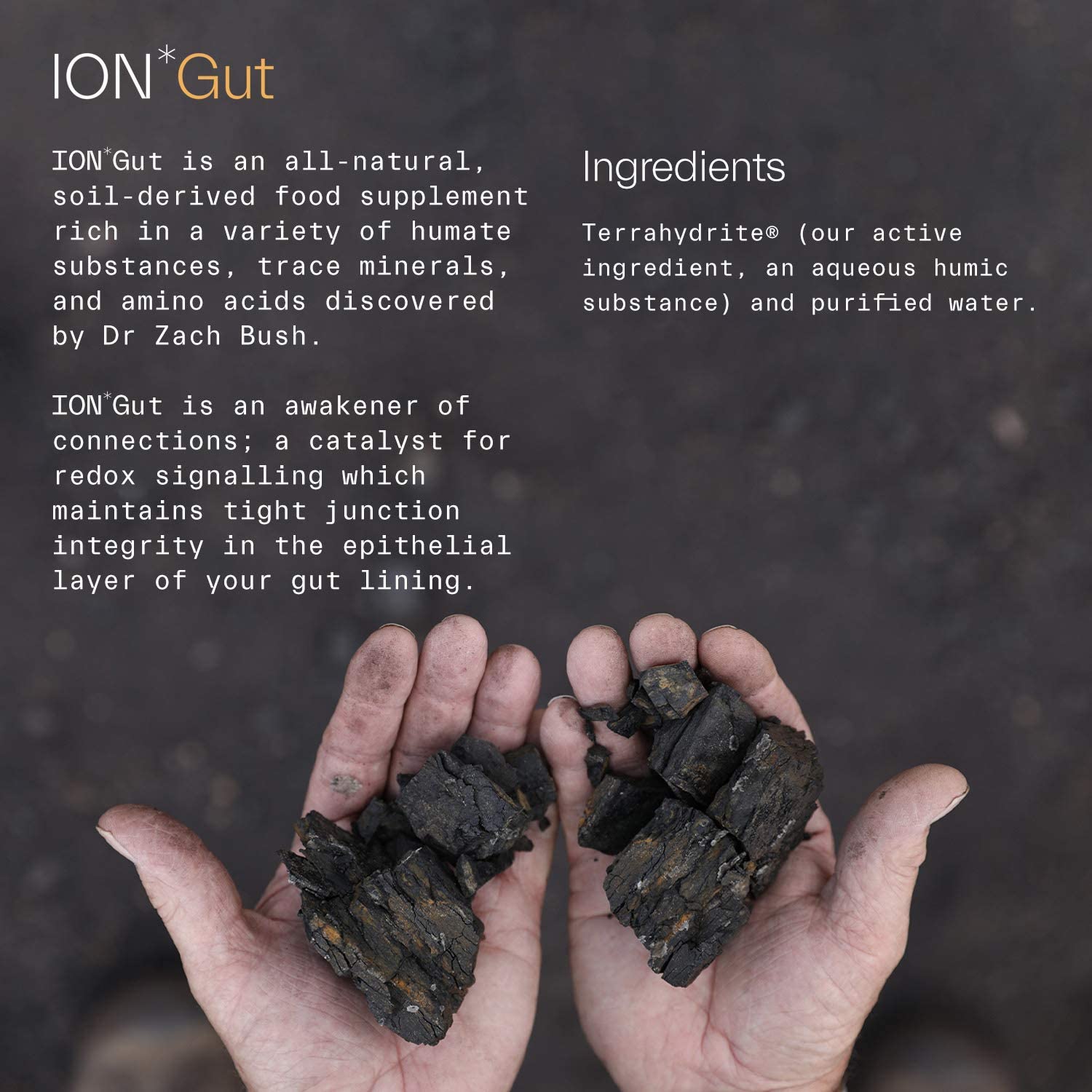 ION Gut Health Supplement 946ml, 946 ml - Image 3