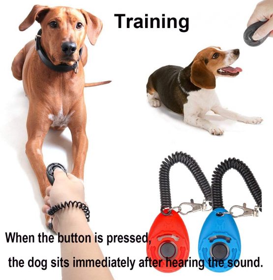 jiuhao Dog Training Whistles， Professional Ultrasonic Dog Training Whistle with Lanyard & Adjustable Frequencies，Stop Barking Teach Commands and Pet Behavior Control Dog Whistle - Image 3