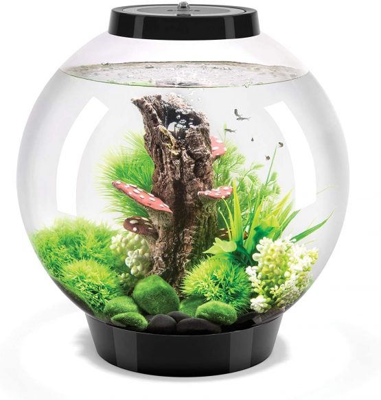 OASE 72005 biOrb Classic 30 Led, black - Image 2