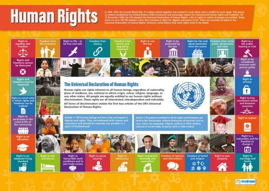 Human Rights | Religious Education Posters | Gloss Paper measuring 850mm x 594mm (A1) | Religious Studies Charts for the Classroom | Education Charts by Daydream Education