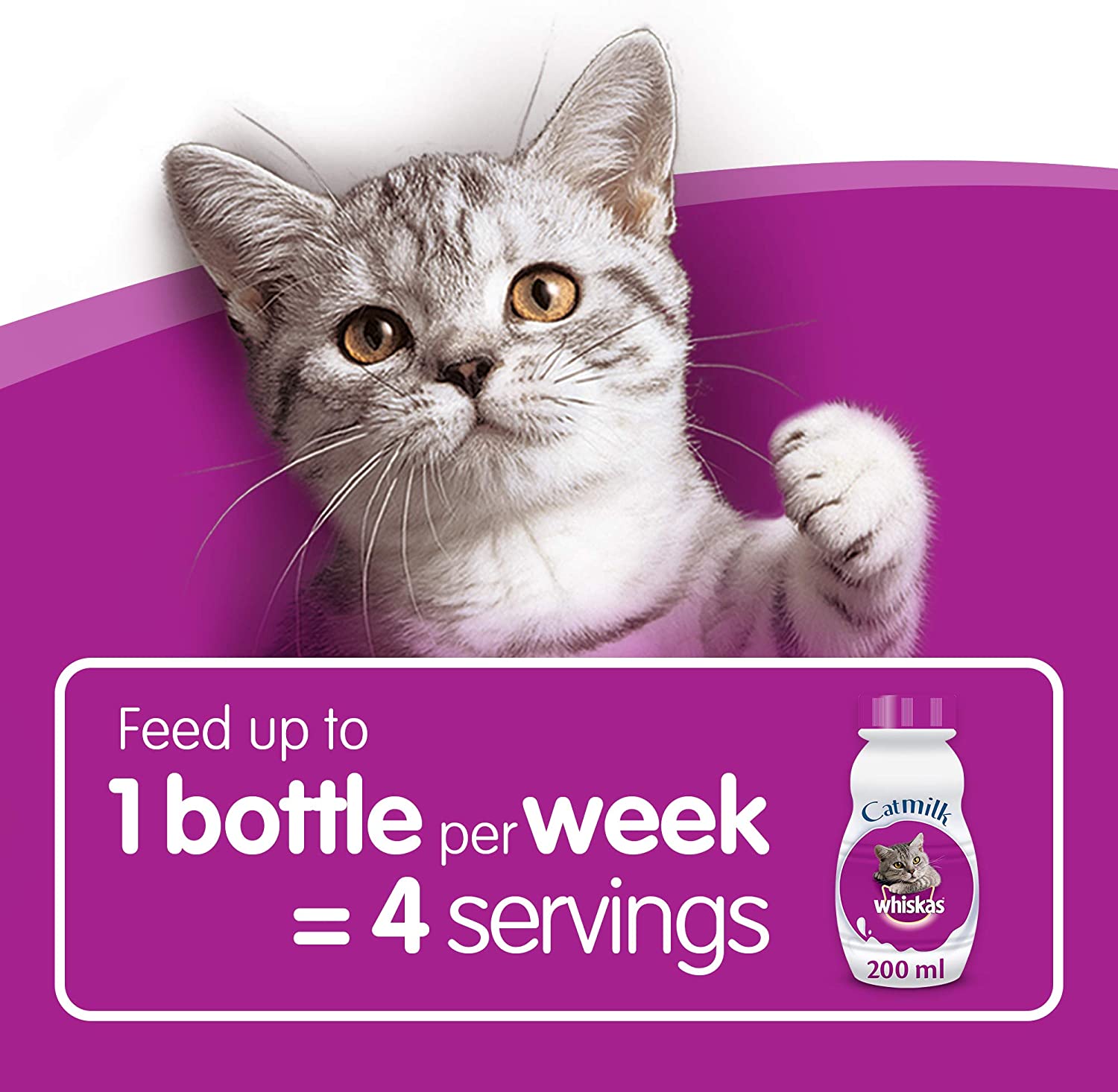 Whiskas Cat Milk 15 x 200 ml bottles, Complementary Cat Food for Kittens over aged 6 weeks, 200 ml (Pack of 15) - Image 4