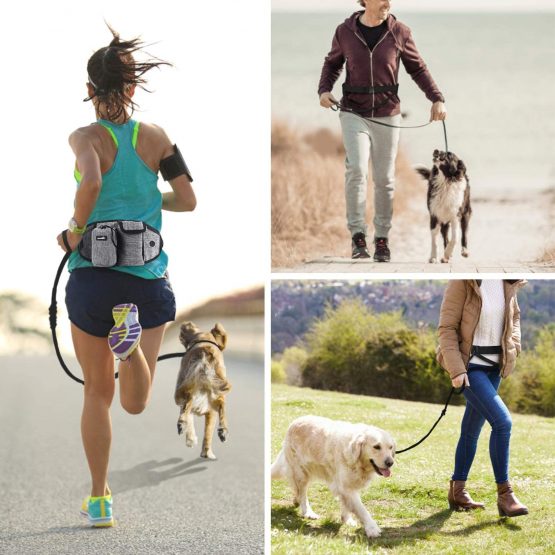 pecute Hands Free Dog Running Leads with Wide Back Support Waist Bag,Adjustable Dog Walking Belt with Multi Pouch & Poo Bag Holder,Durable 2 Handles & Bungees Reflective Jogging Lead,Up to 60KG(Grey) - Image 2