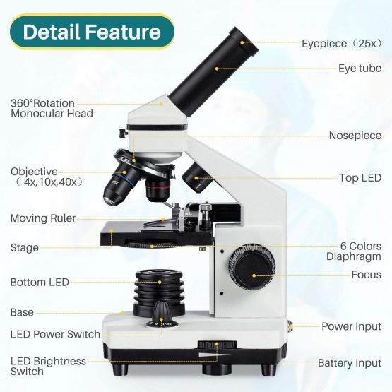 Microscope 2000X Moving Ruler Compound LED with Prepared Blank Slides Phone Holder Microscope Accessories Kids Student Gift Christmas - Image 2