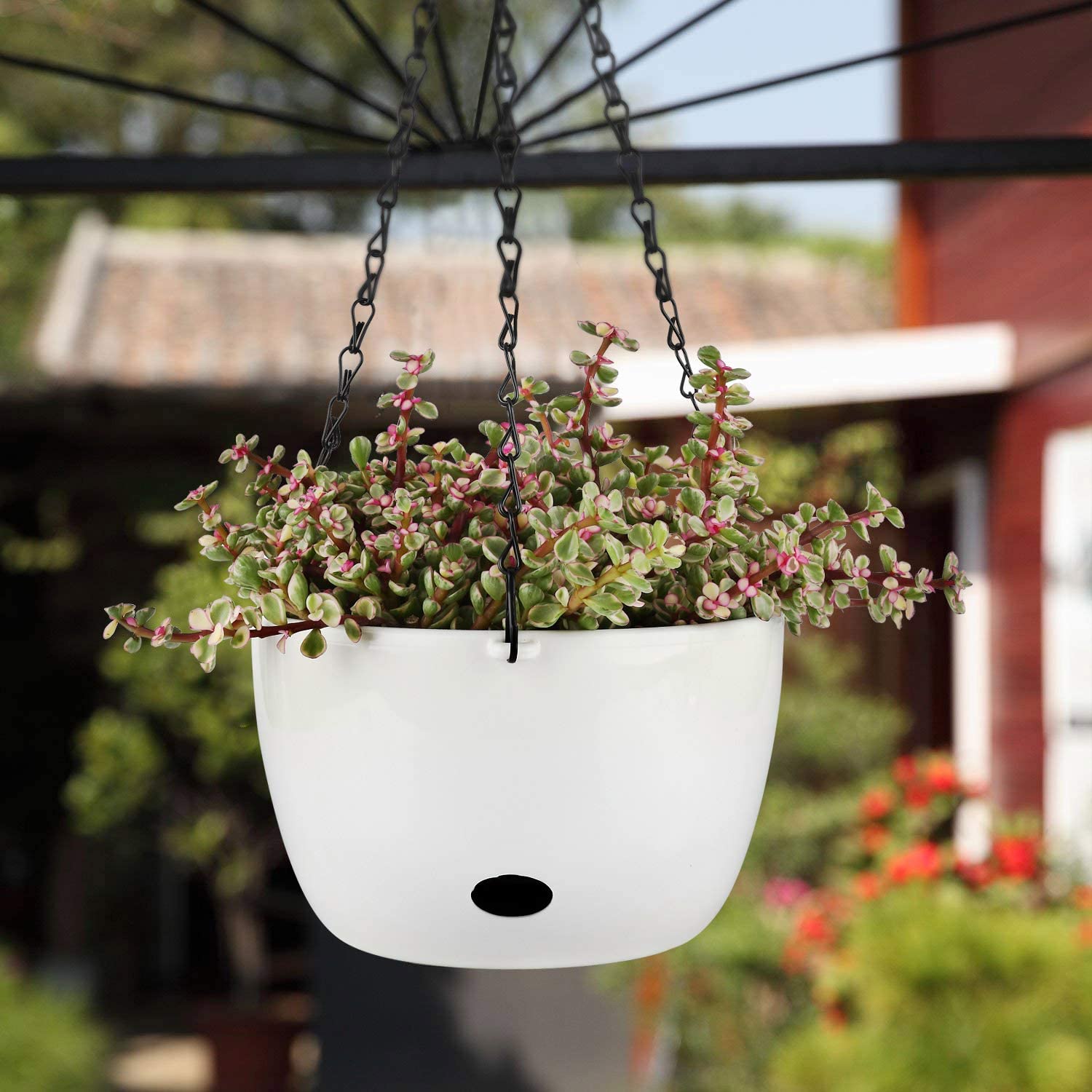 T4U Self Watering Hanging Planter Pot with Watering Hole 20CM White Set of 2 Round Plastic