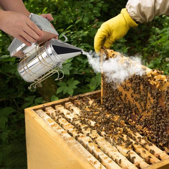 Beehive Smoker,Beekeeping Tool,Excellent air Bellows and Excellent Flue ...