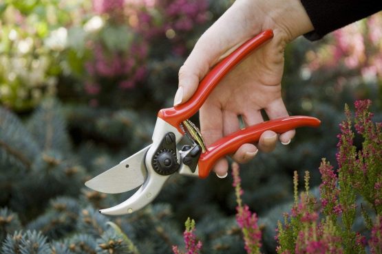 Spear and Jackson Razorsharp Professional Heavy Duty Bypass Secateurs with Ergonomic Handles - Image 4