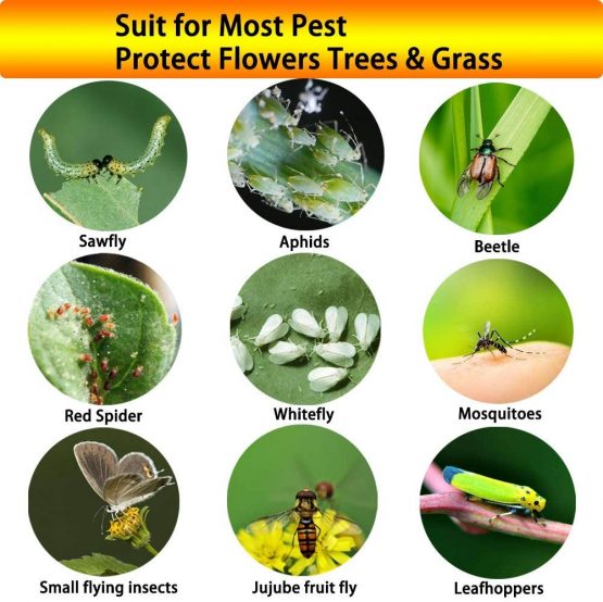 SoulQ Dual-Sided Yellow Fruit Fly Sticky Pest Control Traps for Mosquitos Whitefly Fungus Gnat Leafminer Aphid Small Insects-Houseplant Bug Catcher(Butterfly Flower 12Pcs). - Image 3