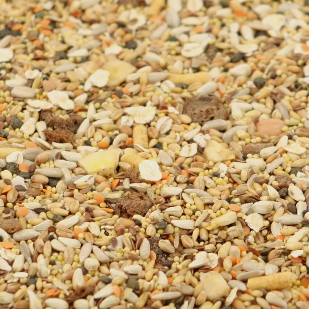 Parrot Essentials Tidymix Manifuctured Premium Quality Parakeet Diet Seed Blend (2.3 kg) - For Small Parots & Birds - Image 2