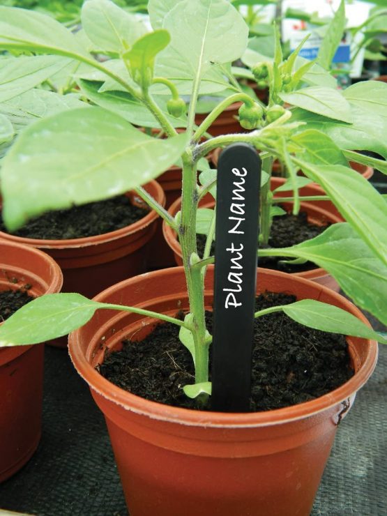 W0875 Garland 10cm (4") Plant Labels (50) (Black) - Image 2