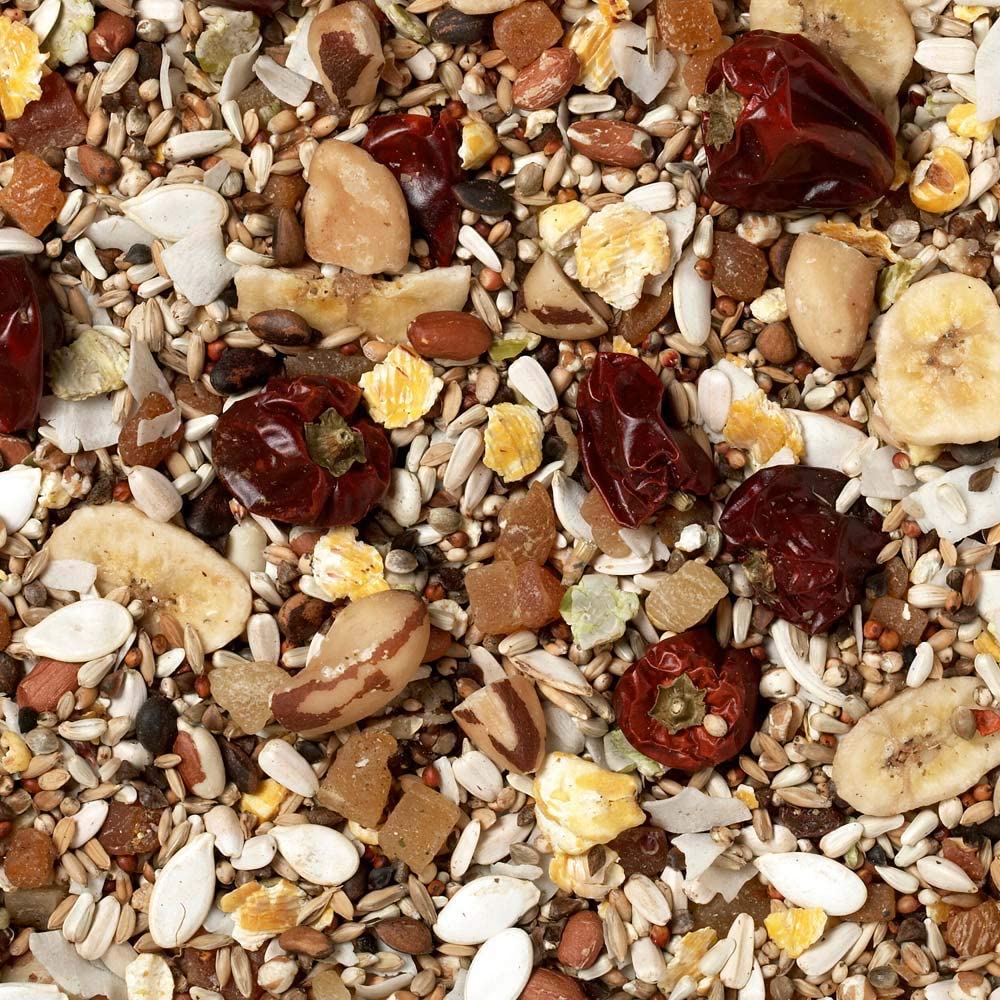 Johnston & Jeff Low Sunflower Diet for African Greys Parrot Food 12.75 kg, clear, 12.75 kg (Pack of 1)