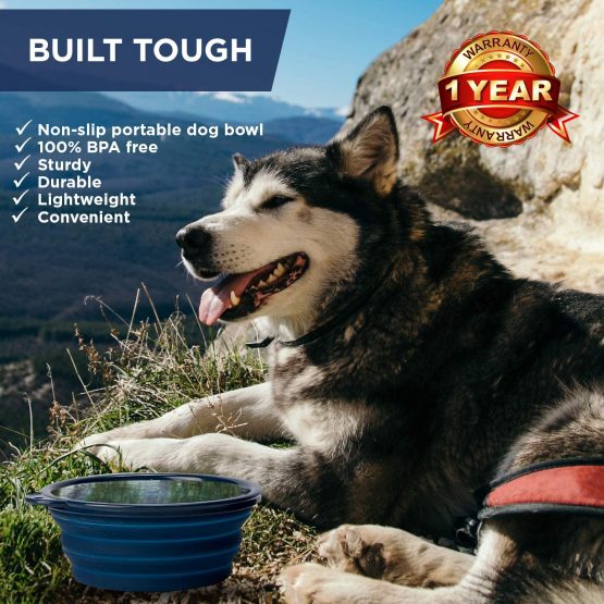 Bonza Collapsible Dog Bowl, Portable Dog Water Bowl for Medium to Large Pets, Lightweight, Sturdy, Leak Proof, Food Safe, Premium Quality Travel Pet Bowl Solution (Large, Navy Blue) - Image 2