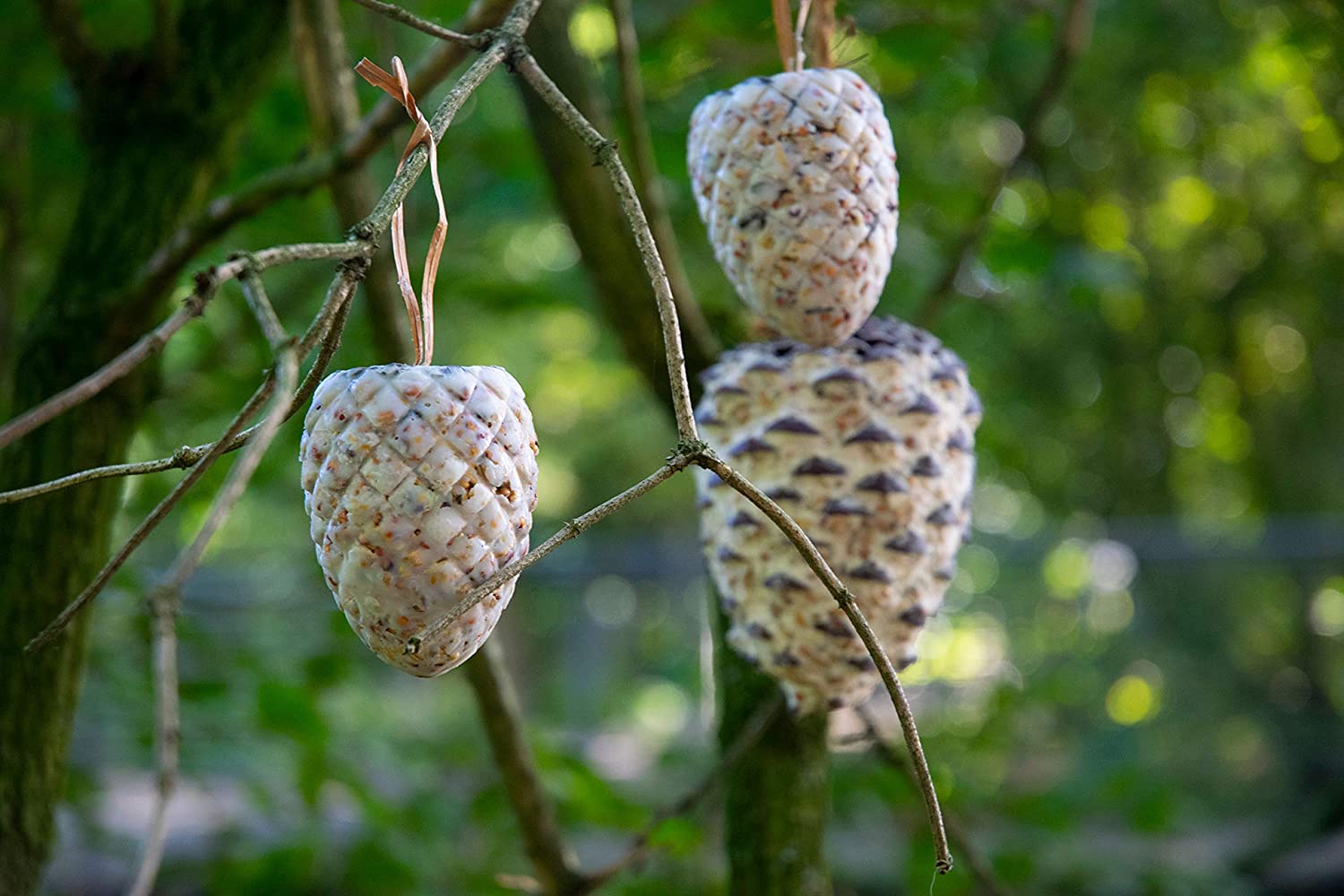 dobar 24104e Bird Food Mix, Fat Feed Mix for Hanging 4 Giant Cones and Small Suet Cones (Approx. 120g), white - Image 4