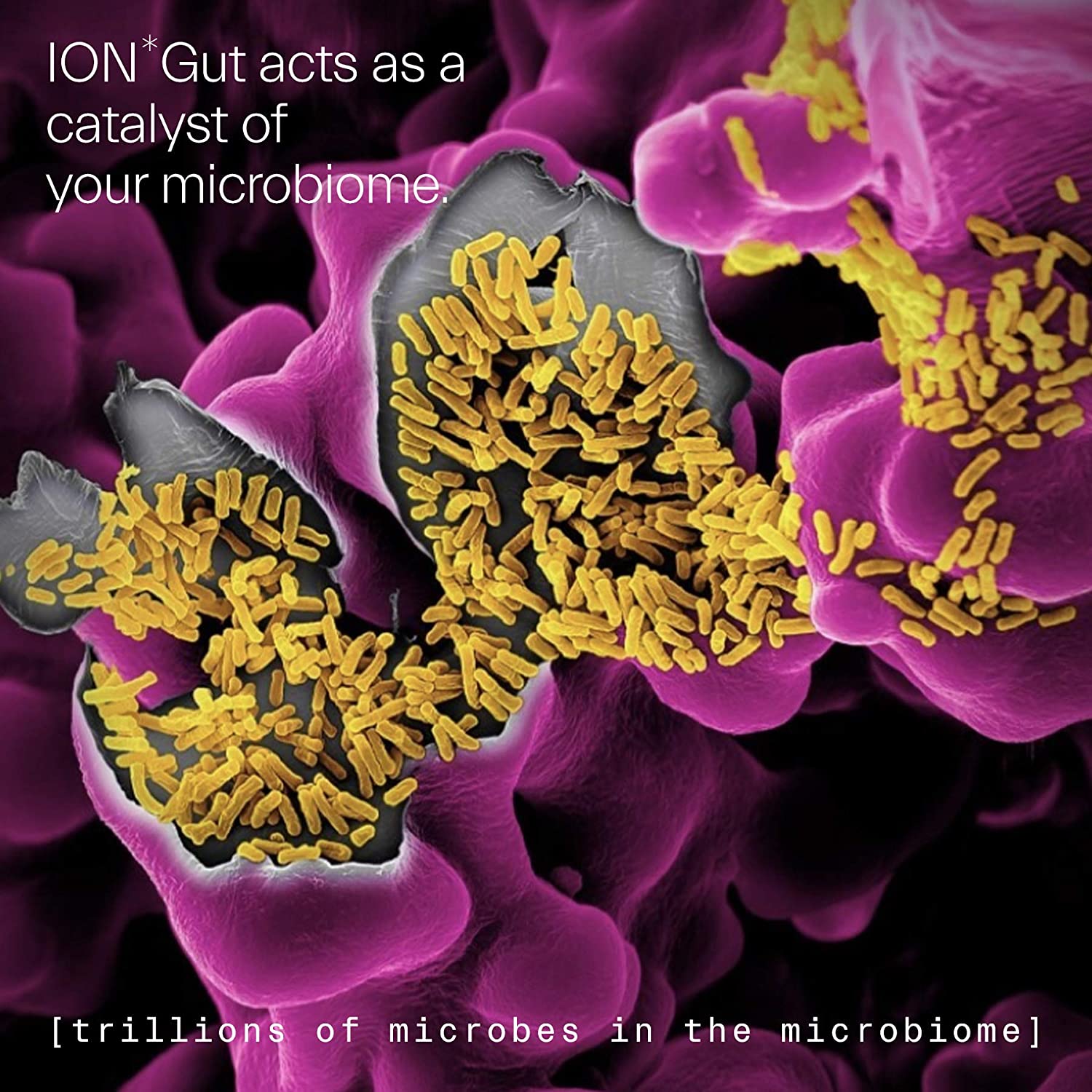 ION Gut Health Supplement 946ml, 946 ml - Image 4