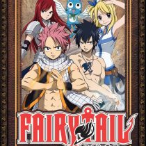 Fairy Tail: Collection Two (Episodes 25-48) [DVD]