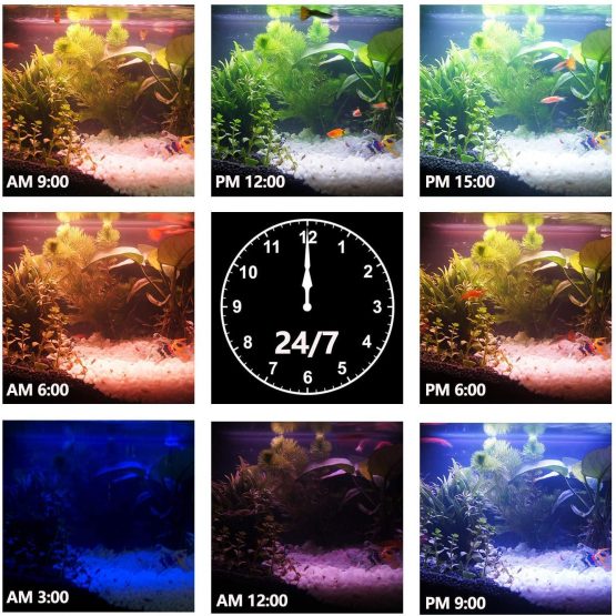 IREENUO LED Aquarium Light, Full Spectrum Fish Tank Clip on Light with Remote, Color Changing Lighting for Reef Coral Aquatic Plants & Fish Keeping (13W) - Image 3
