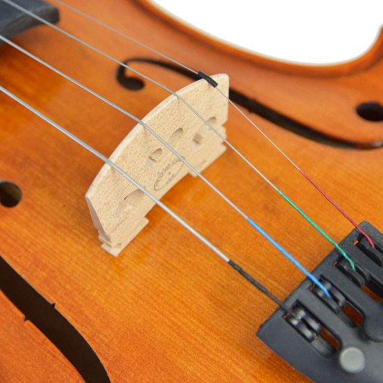 Forenza Prima 2 Viola Outfit - 15.5 Inch, F2250PE - Image 3