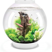 OASE 72007 biOrb Classic 30 Led, white