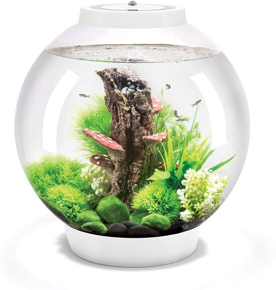 OASE 72007 biOrb Classic 30 Led, white