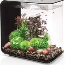 OASE biOrb 72033 FLOW 30 LED in black