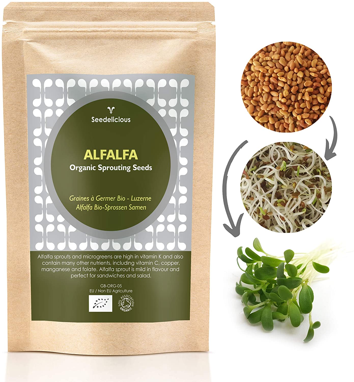 Verdant Republic Organic Alfalfa Sprouting Seeds 250g, Brown