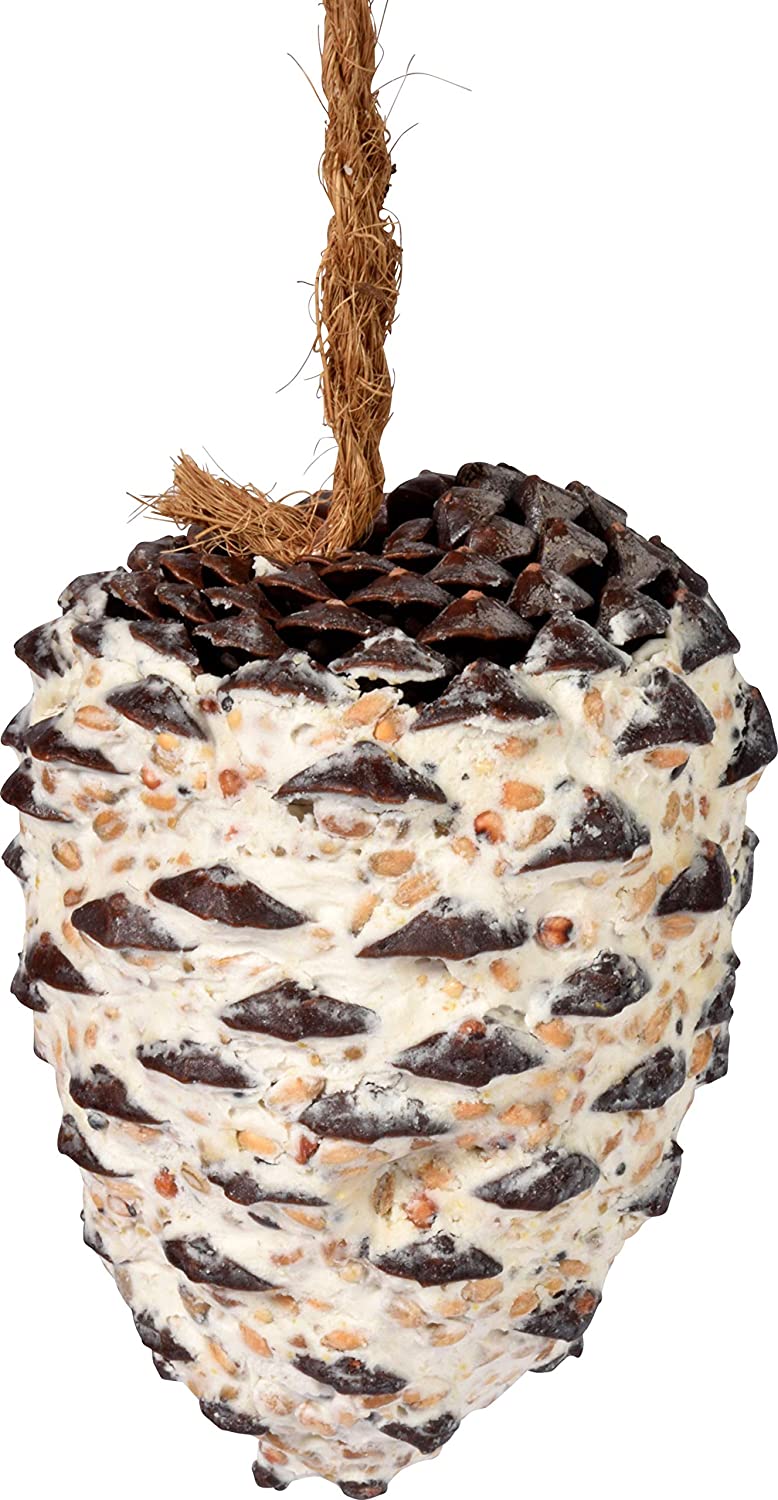dobar 24104e Bird Food Mix, Fat Feed Mix for Hanging 4 Giant Cones and Small Suet Cones (Approx. 120g), white - Image 3