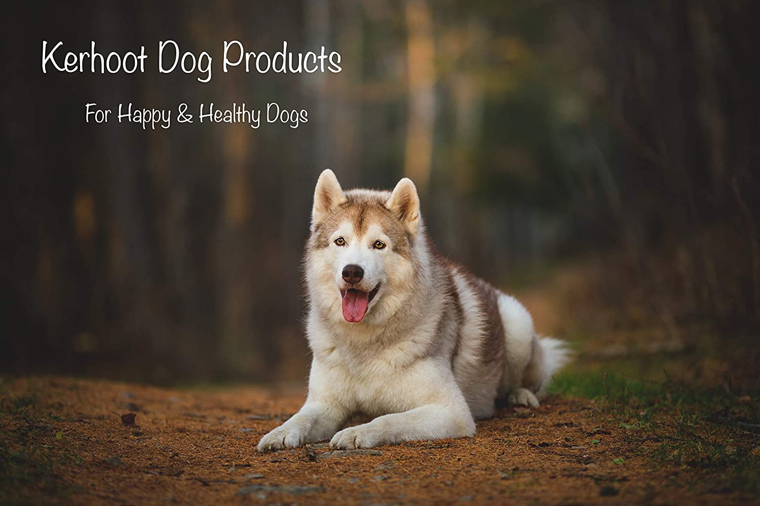 Gravy Bones Bundle Multipack 4 x 350g packs 1400g Shapes Biscuits for