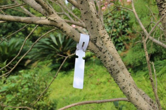 KINGLAKE 200PCS Plastic Plant Tree Tags Labels 2x21cm Wrap Around Hanging Garden Markers (White) - Image 2