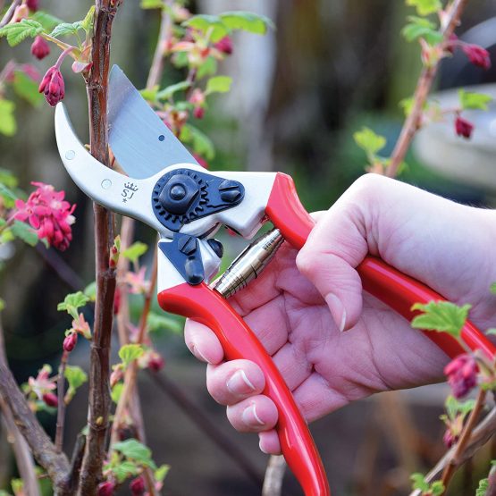 Spear and Jackson Razorsharp Professional Heavy Duty Bypass Secateurs with Ergonomic Handles - Image 3