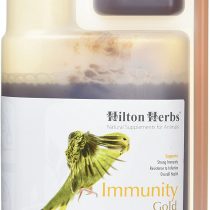 Hilton Herbs Immunity Gold 500 ml
