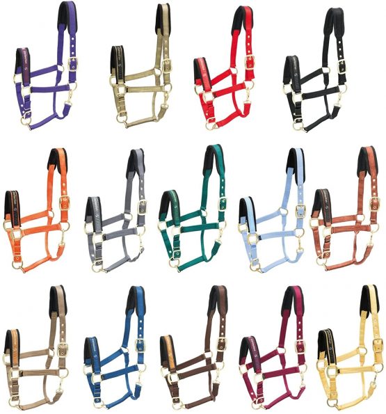 KIEFFER Nylon stable halter