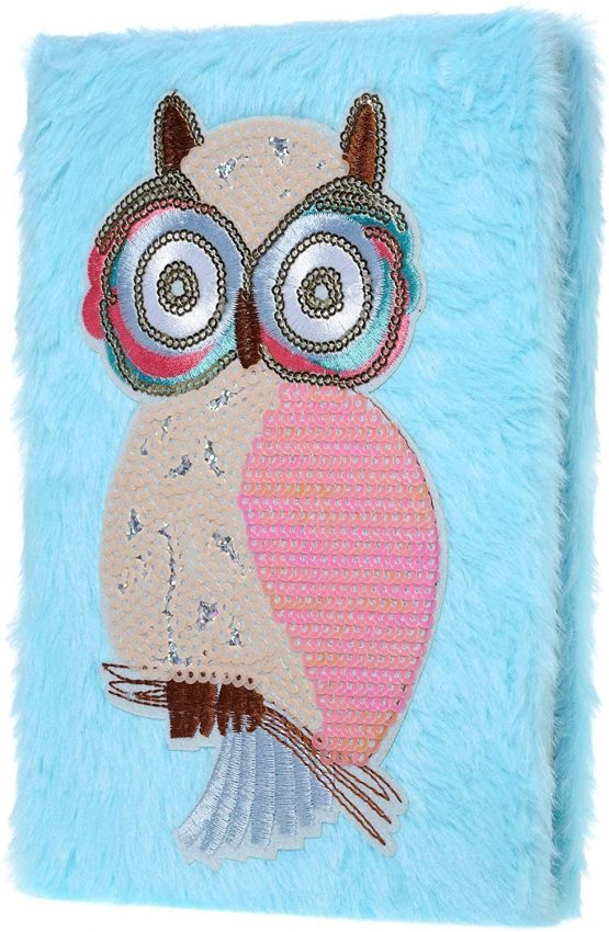 Brightzen Cute Owl Stationery Set – Owl Fur Notebook, Pencil Case, Pom Pens, Pastel Pencils, Eraser and Stickers with Gift Box, for girls boys age 4 5 6 7 8 9 10 11 - Image 2