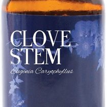 Mystic Moments | Clove Stem Essential Oil - 100ml - 100% Pure