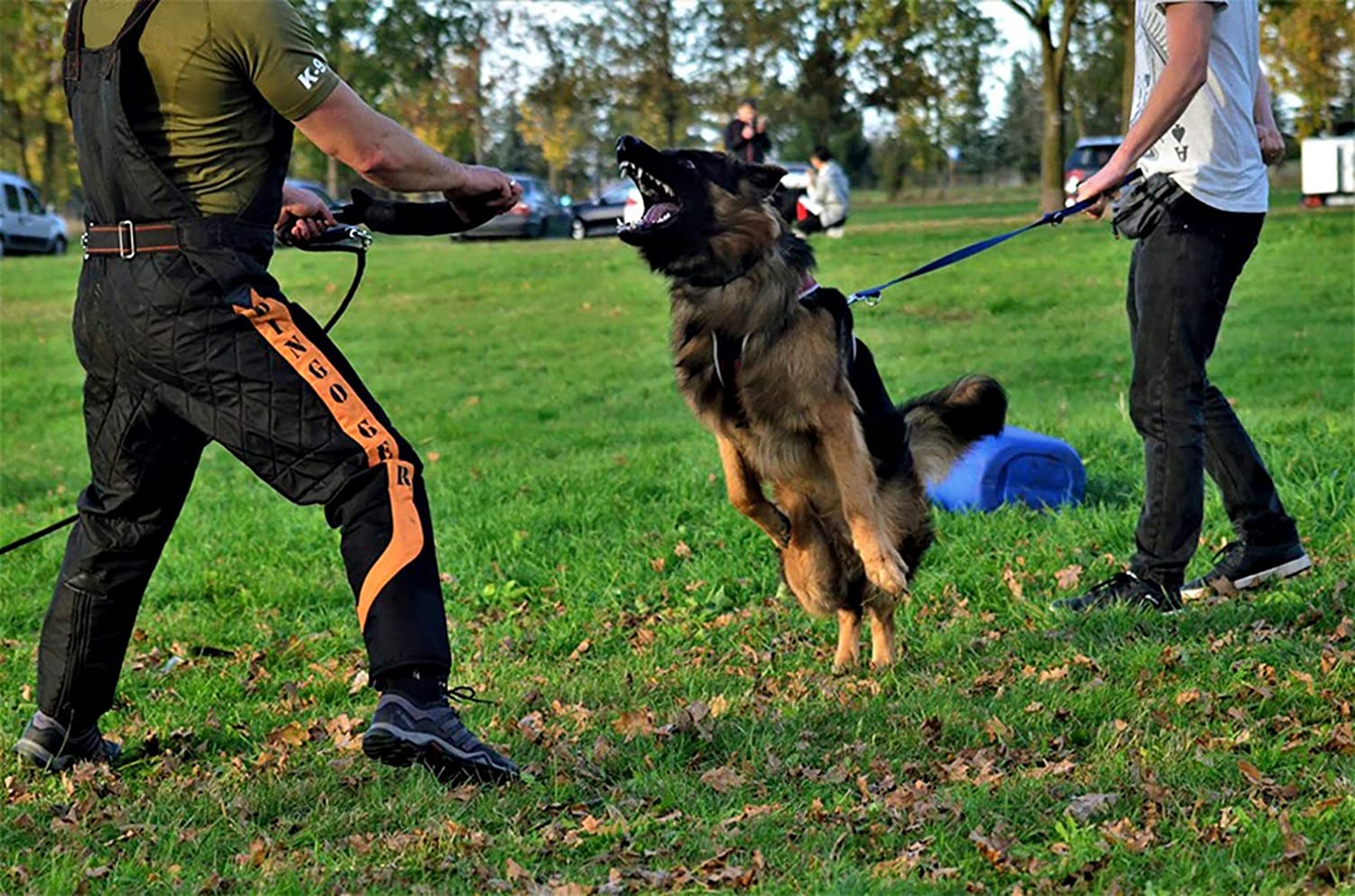 Dingo Gear Dog Training Suit for IGP Sports Agitation Decoy Size M Orange S01038 - Image 3