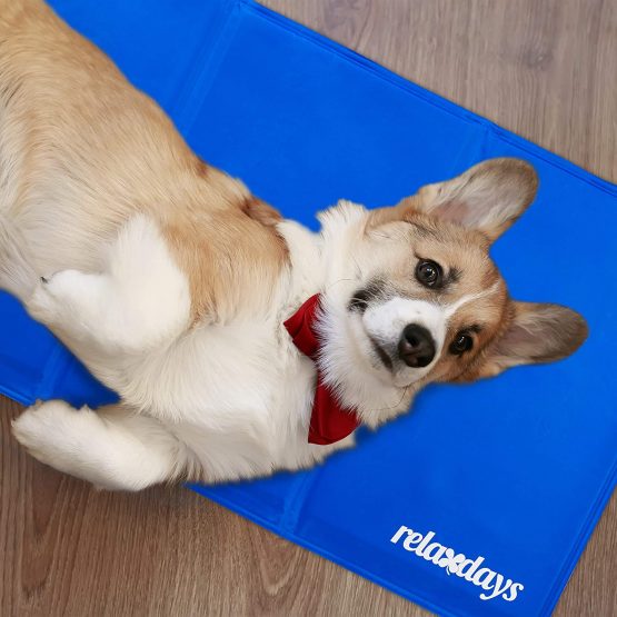 Relaxdays Self-Cooling Dog Mat, Wipeable, Gel Pad, Blanket for Animals, Polyester, Blue, 1 Piece - Image 2