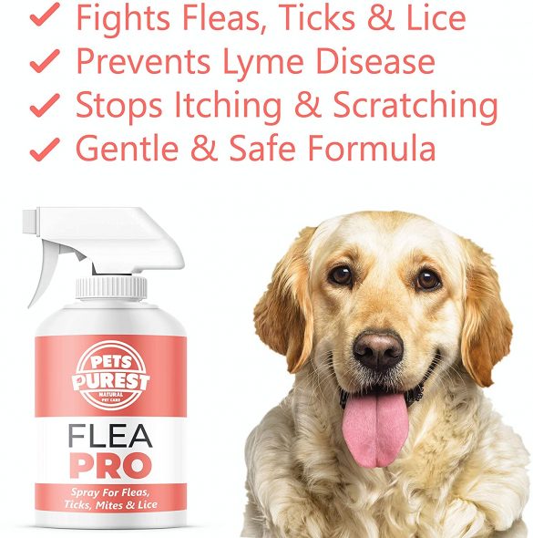 Pets Purest 100 Natural Flea Spray For Dogs (500ml) Flea Mite Tick